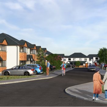 Co. Laois Residential Development